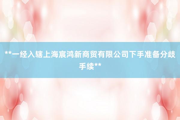 **一经入辖上海宸鸿新商贸有限公司下手准备分歧手续**