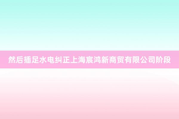 然后插足水电纠正上海宸鸿新商贸有限公司阶段