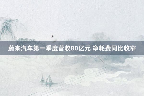 蔚来汽车第一季度营收80亿元 净耗费同比收窄