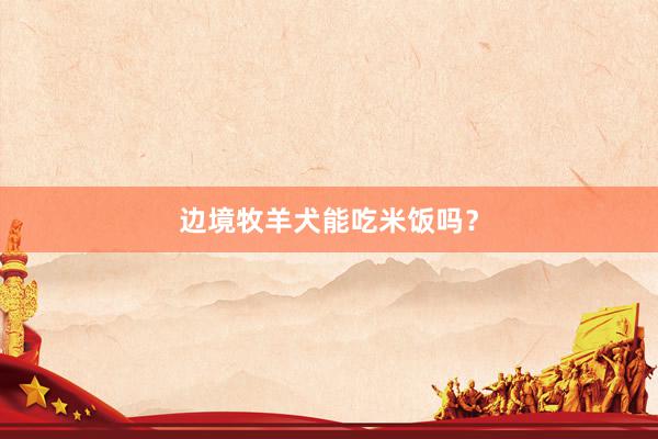 边境牧羊犬能吃米饭吗？